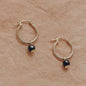 Asteracea Hoops